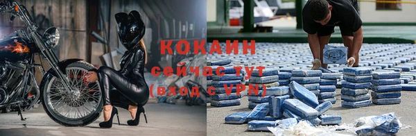 трава Михайловск